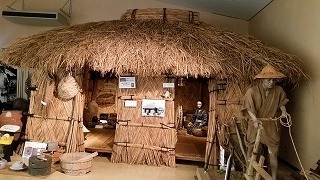 Image_0fcd9b9.jpg