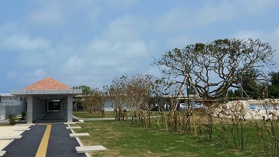 94145.jpg